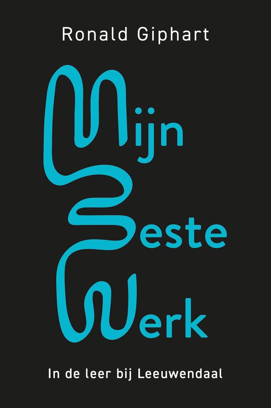 Mijn beste werk