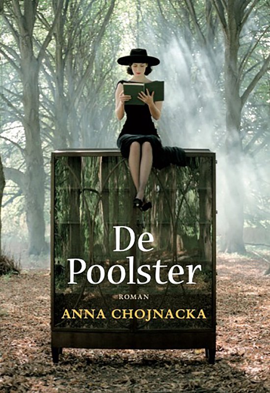 De Poolster