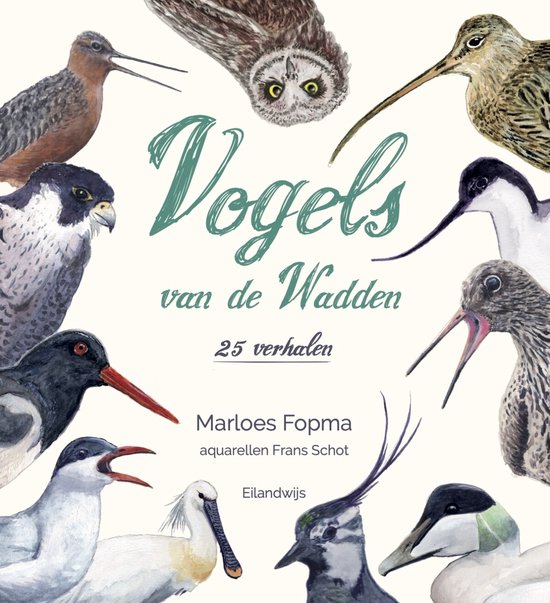 Vogels van de Wadden