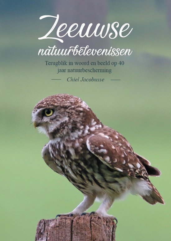 Zeeuwse natuurbelevenissen