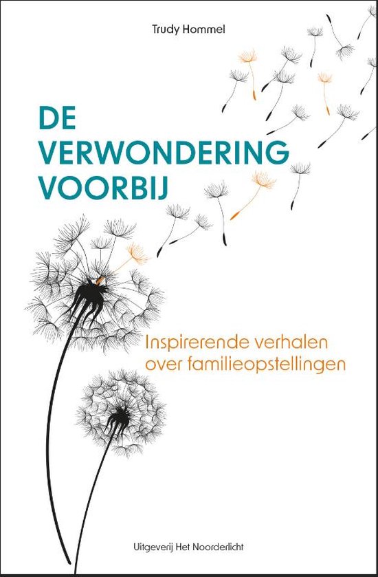 De verwondering voorbij