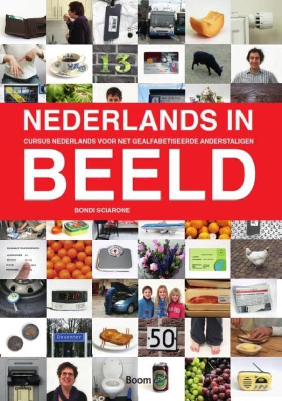 Nederlands in beeld