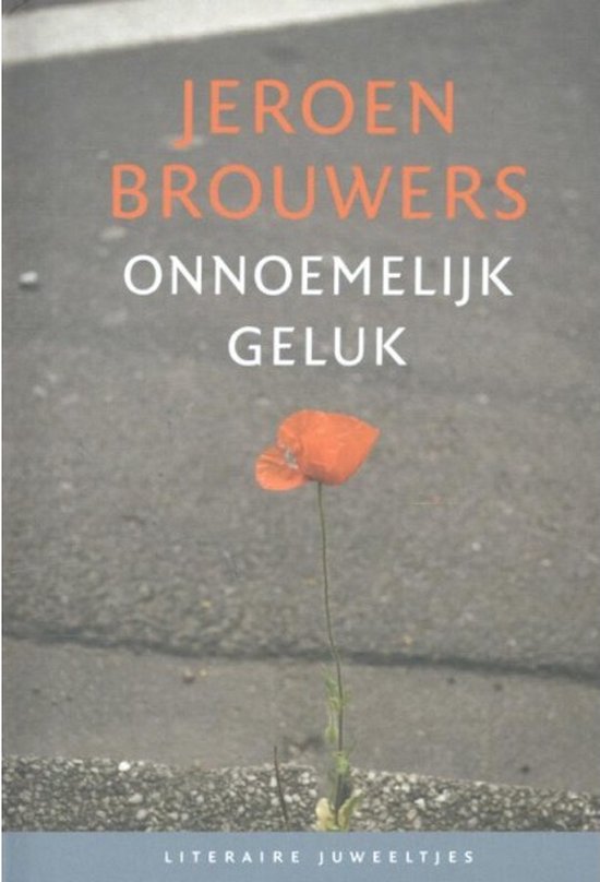 Literaire Juweeltjes - Onnoemelijk geluk