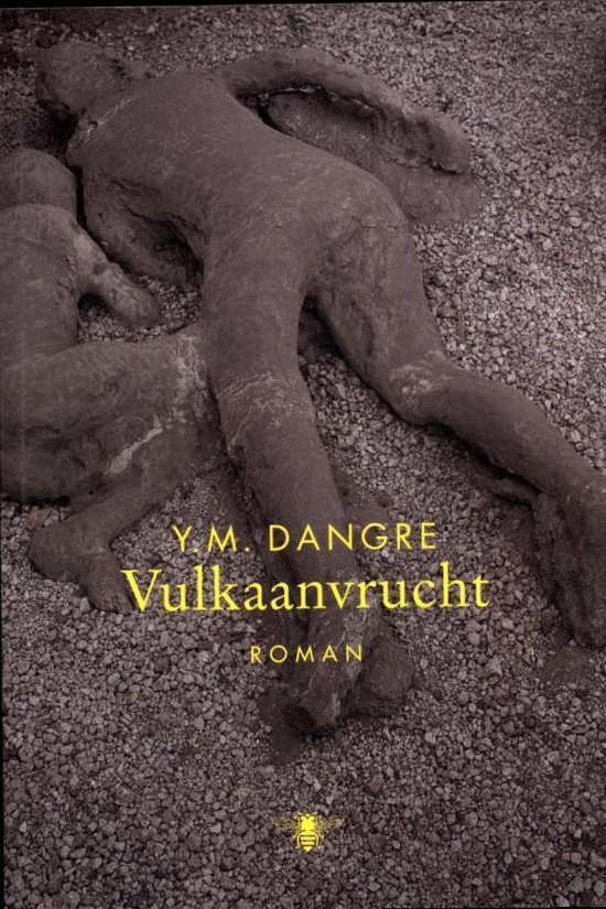 Vulkaanvrucht