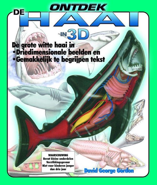 Ontdek De Haai In 3 D