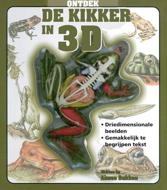 Ontdek De Kikker In 3D