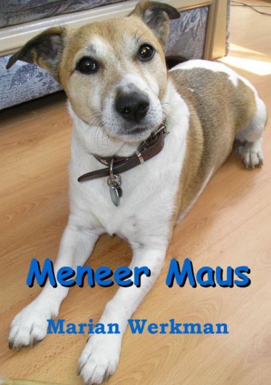 Meneer Maus