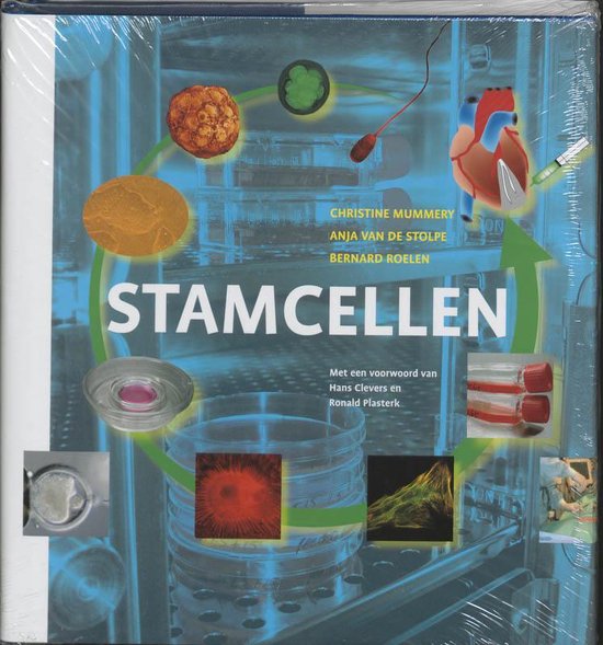 Stamcellen