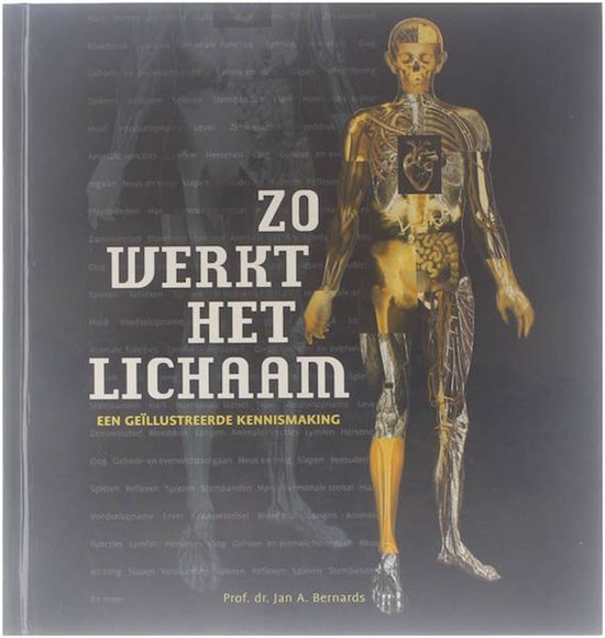 Zo Werkt Het Lichaam