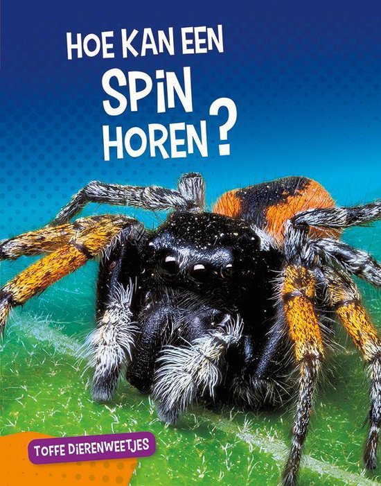 Toffe dierenweetjes - Hoe kan een spin horen?