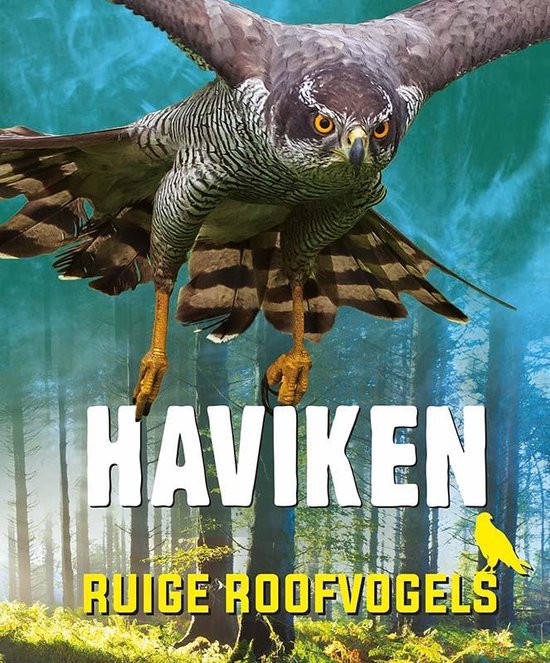 Ruige roofvogels - Haviken