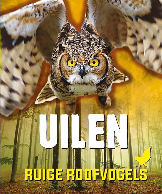 Ruige roofvogels - Uilen