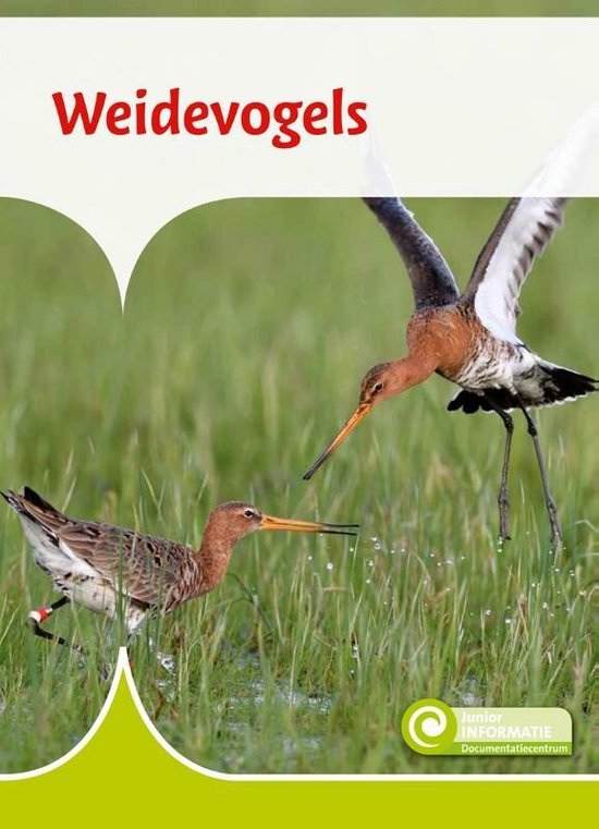 Junior Informatie 115 - Weidevogels