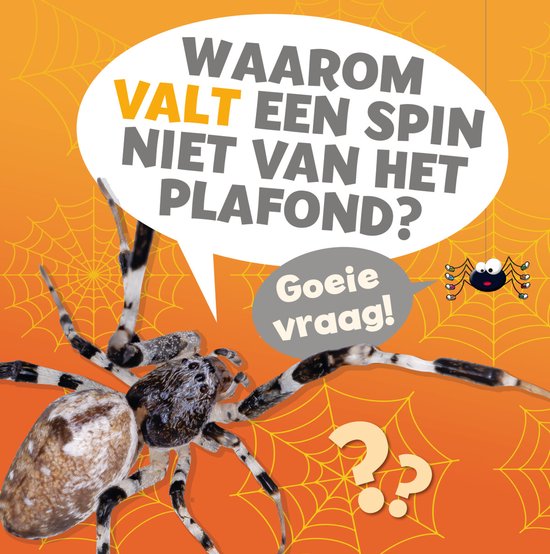 Goeie vraag! - Waarom valt een spin niet van het plafond?