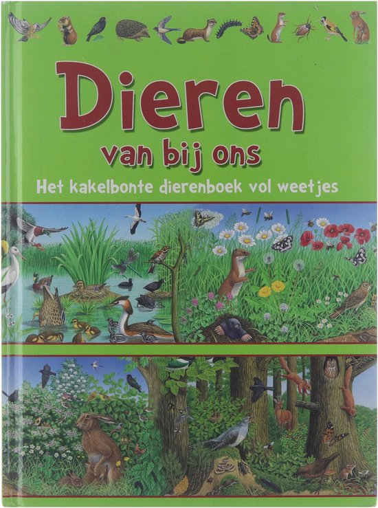 Dieren van bij ons: het kakelbonte dierenboek vol weetjes