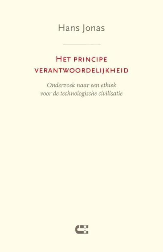 Het principe verantwoordelijkheid