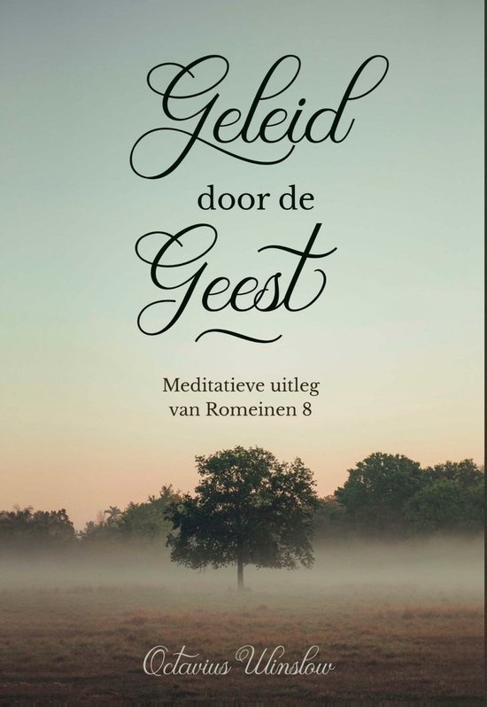 Geleid door de Geest