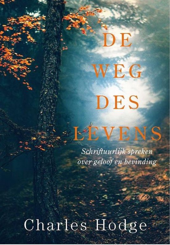 De weg des levens