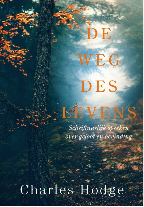 De weg des levens