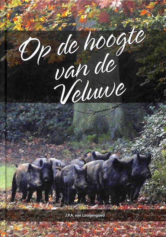 Op de hoogte van de Veluwe