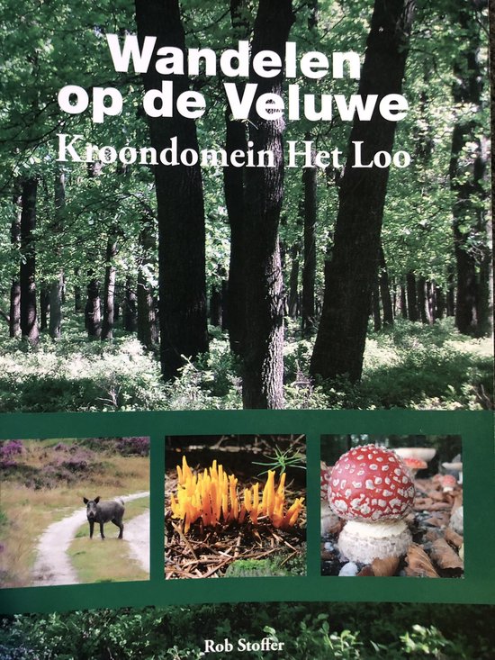 Wandelen op de Veluwe