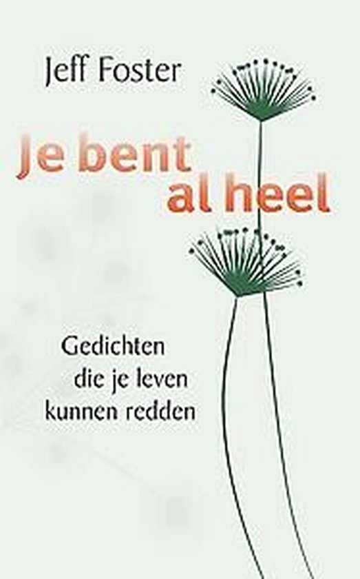 Je bent al heel