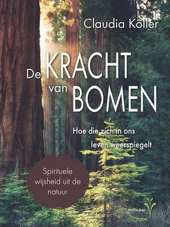 De kracht van bomen