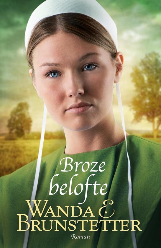 BROZE BELOFTE DE INDIANA AMISH 1