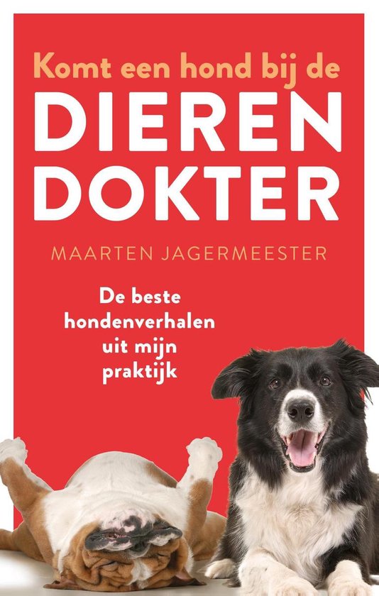 Komt een hond bij de dierendokter