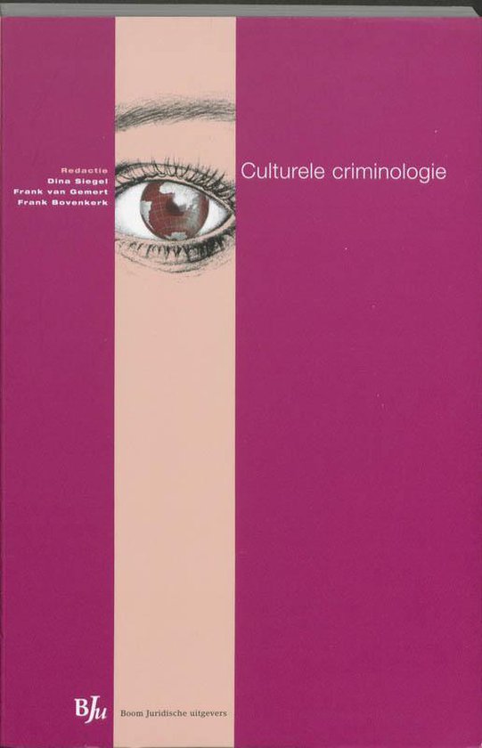 Culturele criminologie