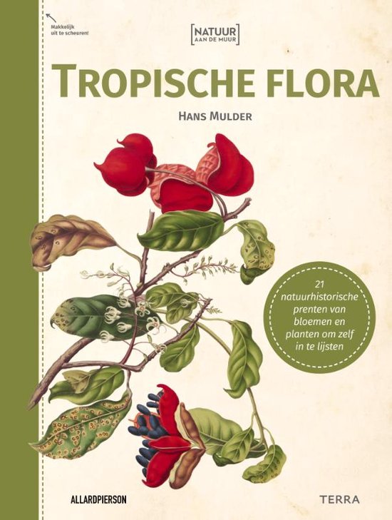 Natuur aan de muur - Tropische Flora