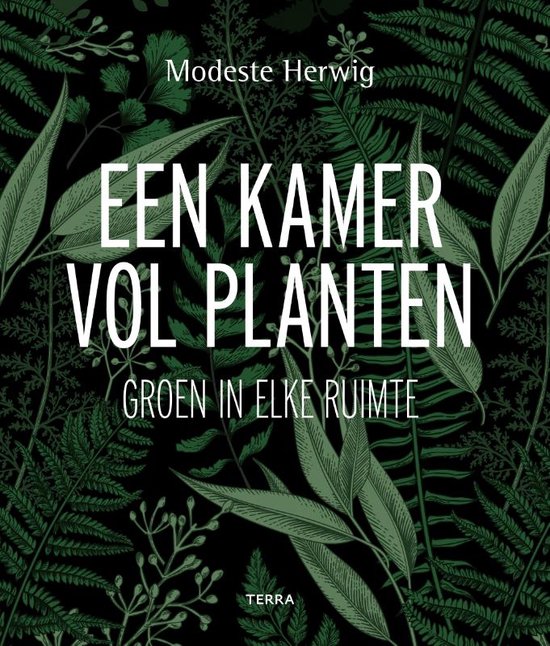 Een kamer vol planten