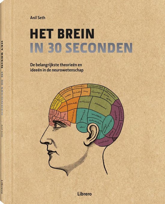 Het brein in 30 seconden