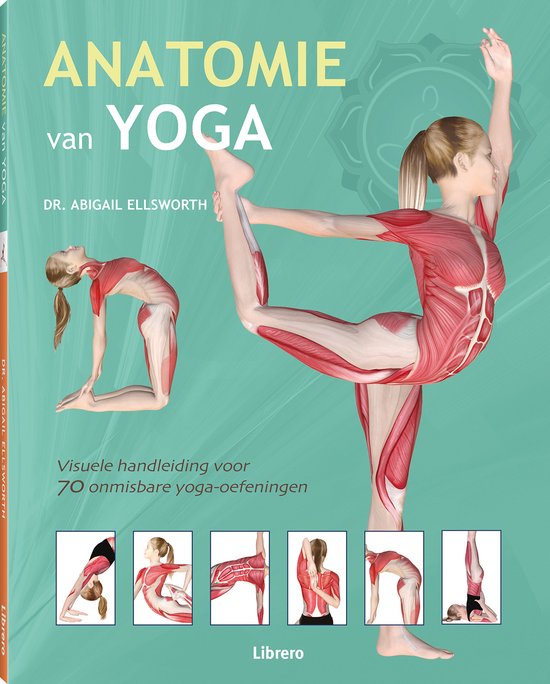 Anatomie van Yoga