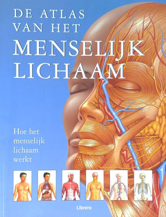 atlas van het menselijk lichaam