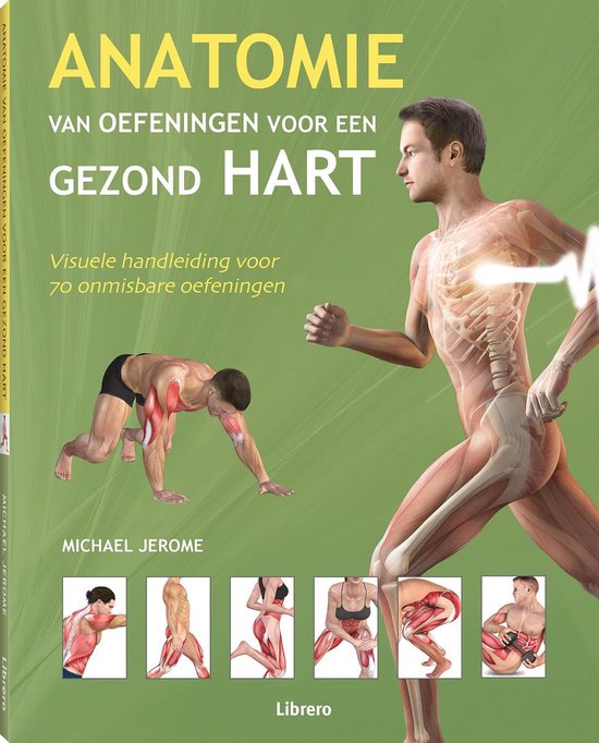 Anatomie van oefeningen voor een gezond hart