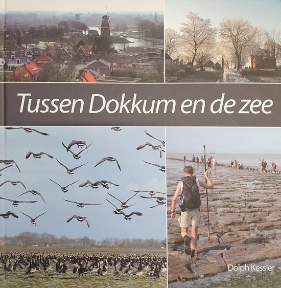 Tussen Dokkum en de zee