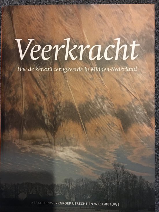 Veerkracht