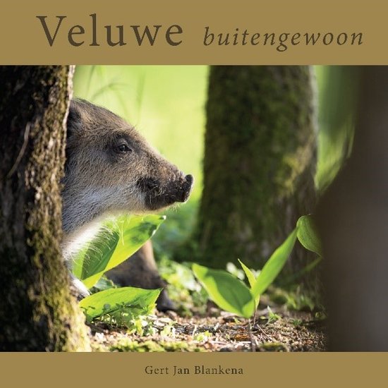 VELUWE buitengewoon