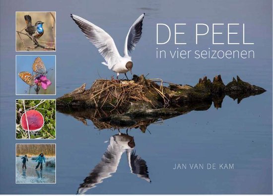 De Peel in vier seizoenen