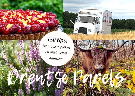 Drentse Parels, 150 tips! De mooiste plekjes en origineelste adressen. Een boek dat niet mag ontbreken als je naar Drenthe gaat.