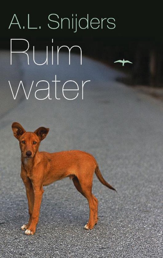 Ruim water