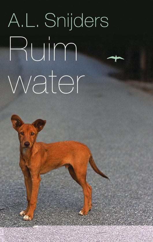 Ruim water