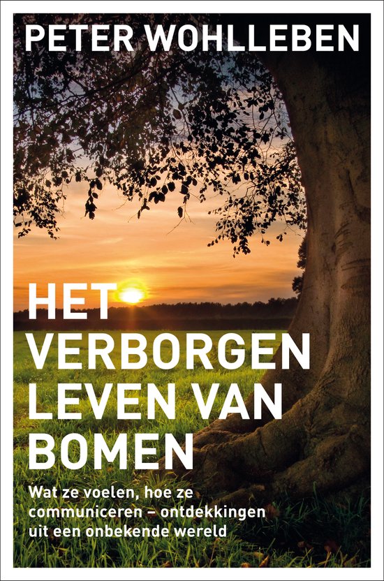 Het verborgen leven van bomen