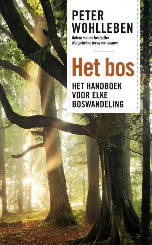 Het bos