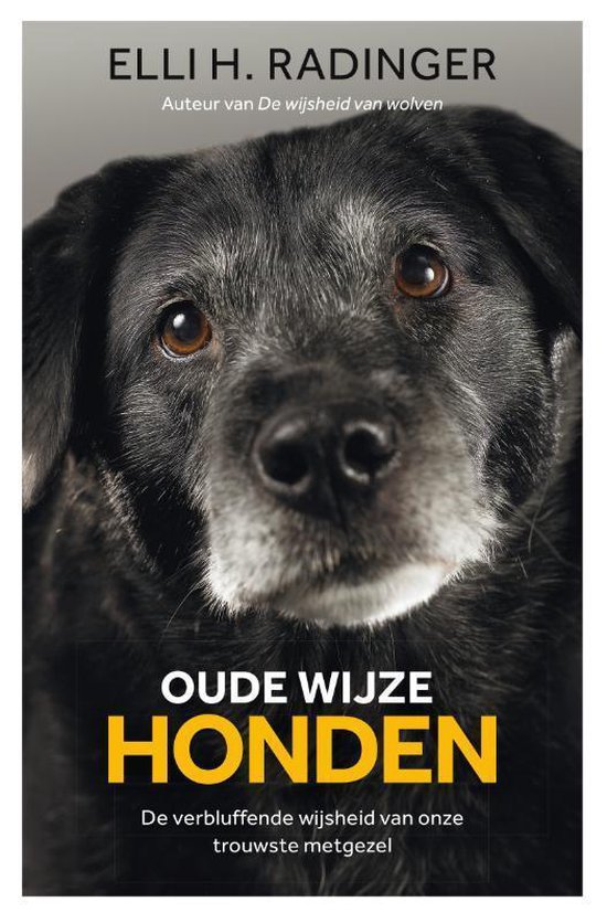 Oude wijze honden