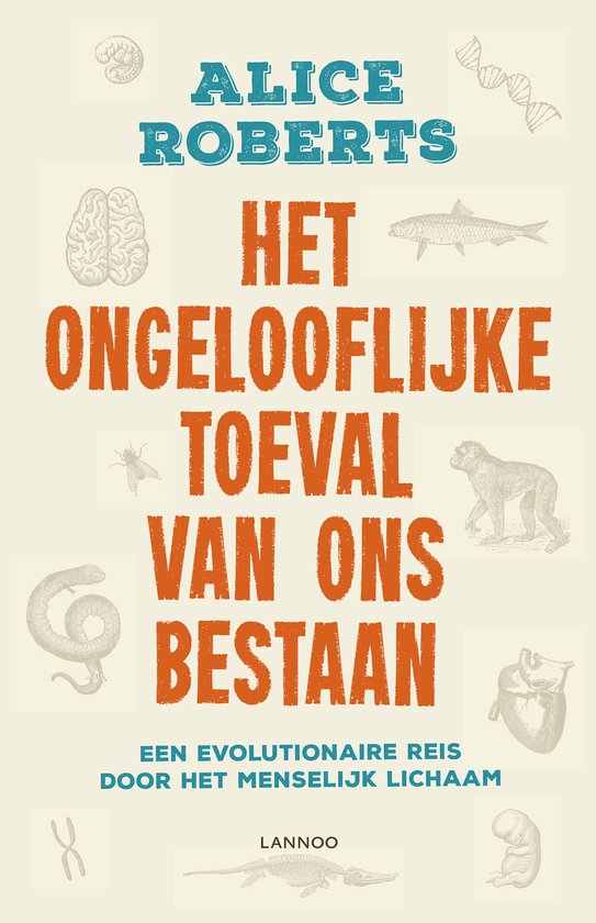 Het ongelofelijke toeval van ons bestaan