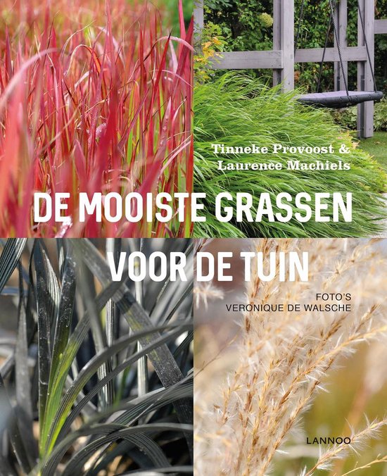 De mooiste grassen voor de tuin