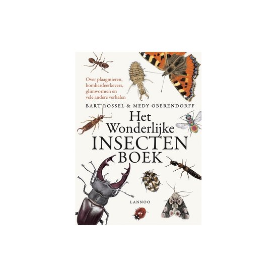 Het wonderlijke insectenboek