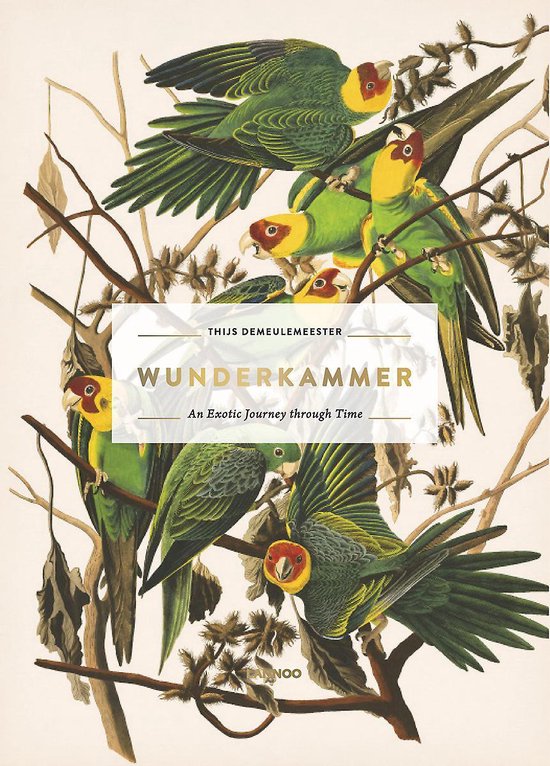 Wunderkammer